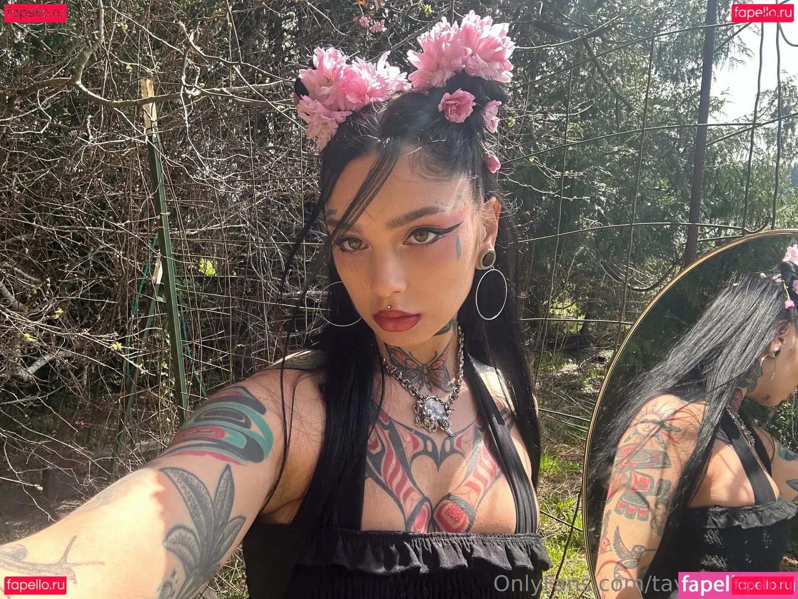 Taylor White Onlyfans Photo Gallery 