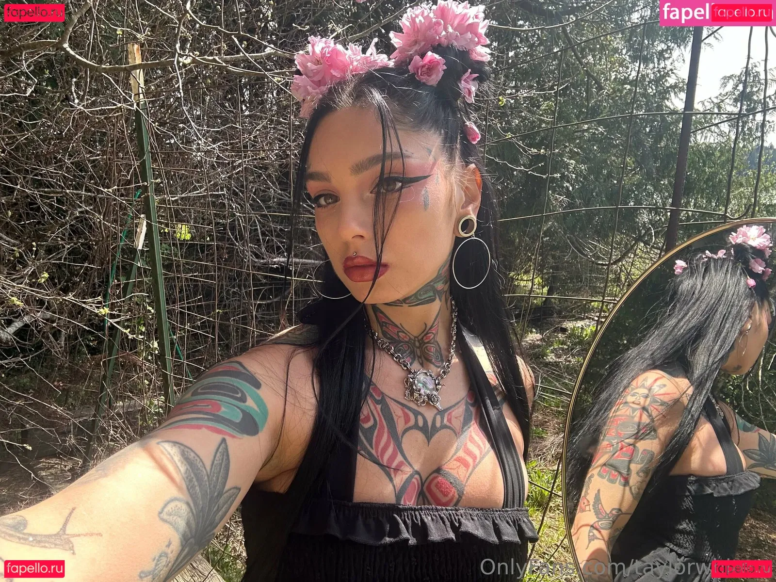 Taylor White Onlyfans Photo Gallery 