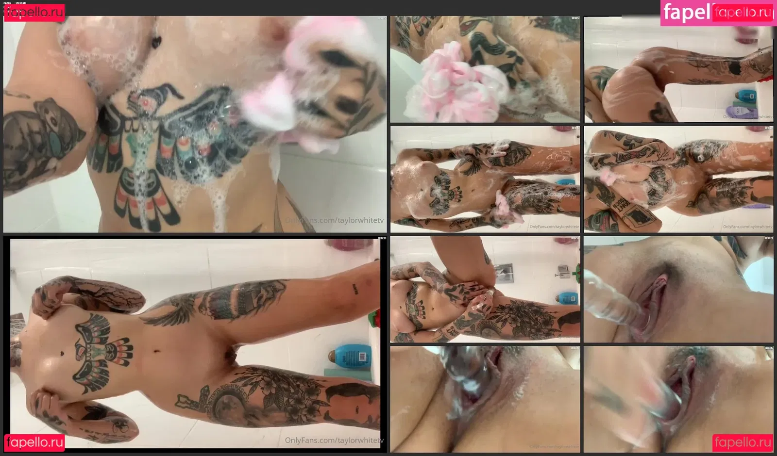 Taylor White Onlyfans Photo Gallery 