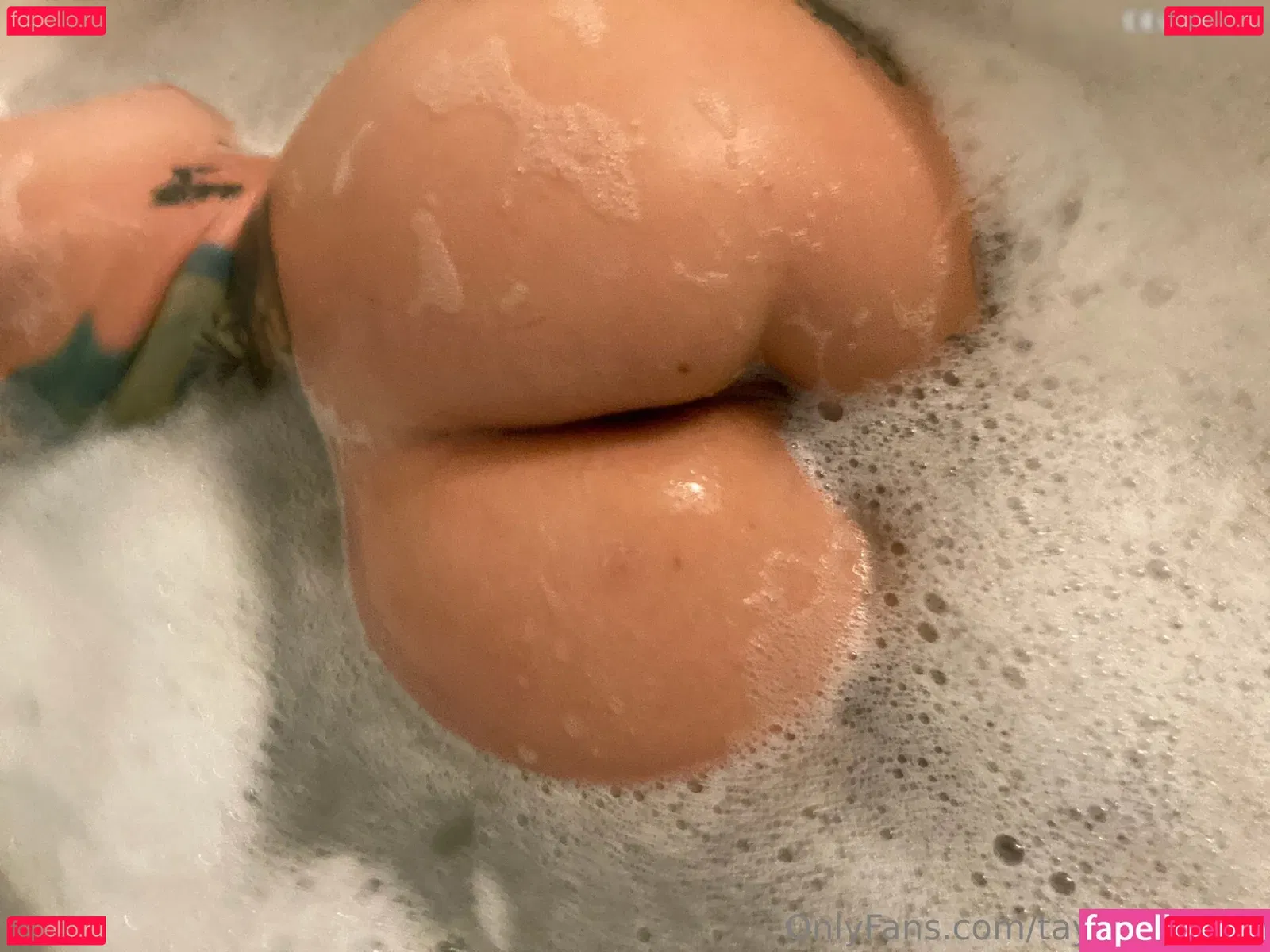 Taylor White Onlyfans Photo Gallery 