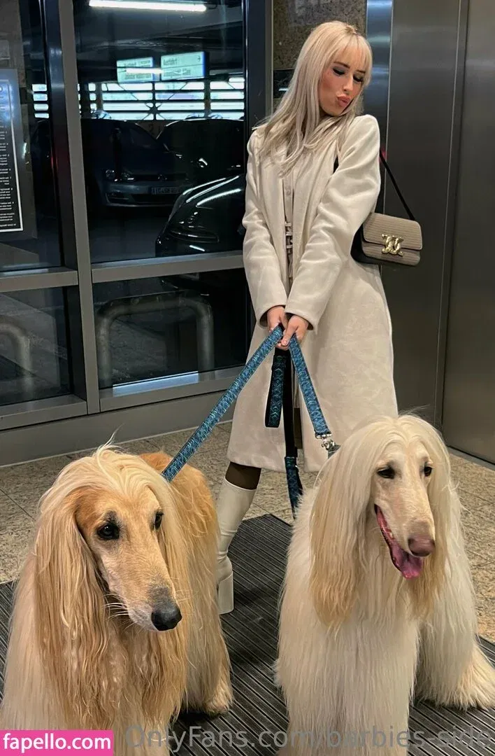 barbies-side Onlyfans Photo Gallery 