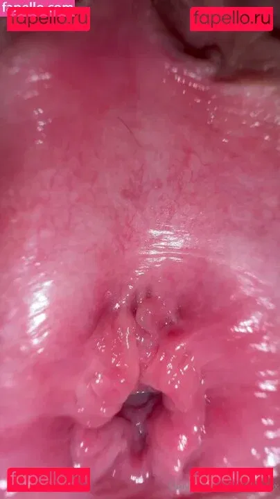 belllexox Onlyfans Photo Gallery 