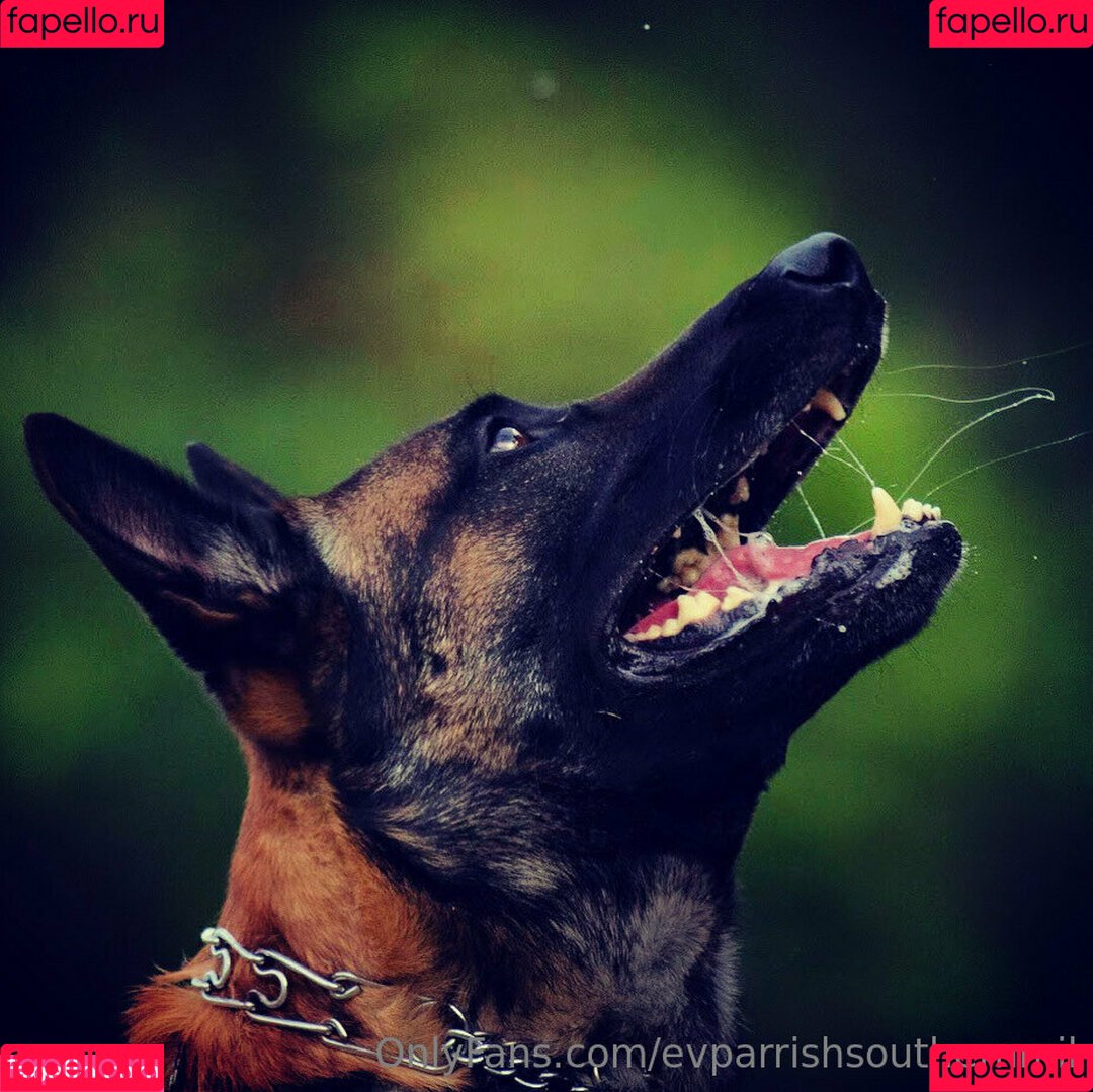 evparrishsouthernmil Onlyfans Photo Gallery 