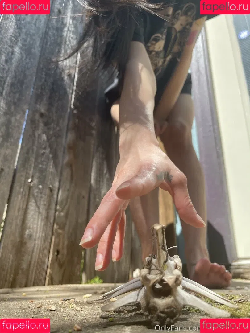comfyqueen Onlyfans Photo Gallery 