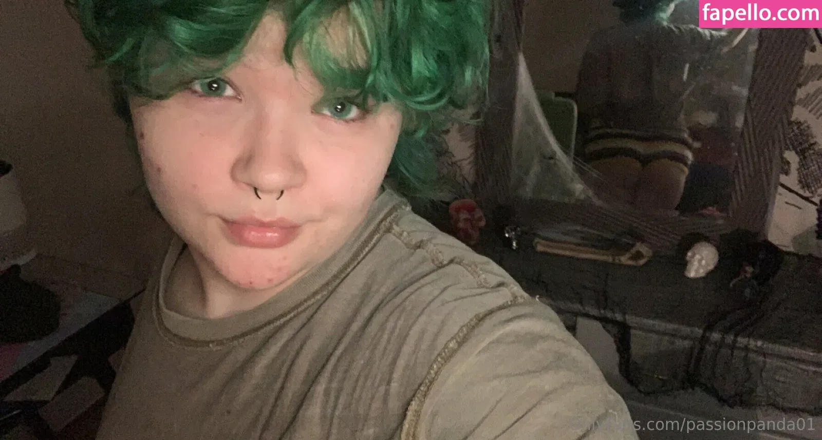 passionpanda01 Onlyfans Photo Gallery 