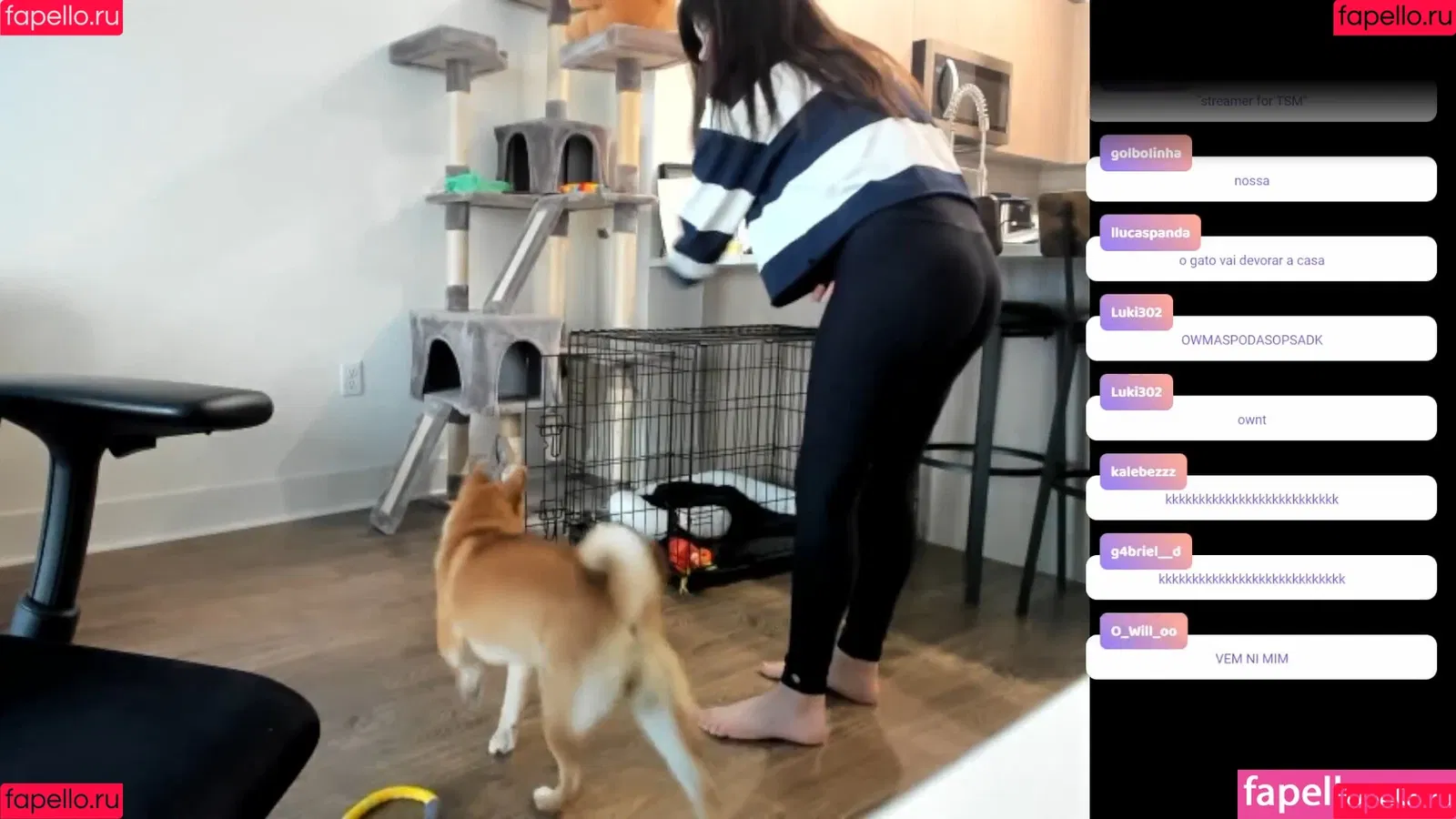 Júlia Nakamura Onlyfans Photo Gallery 