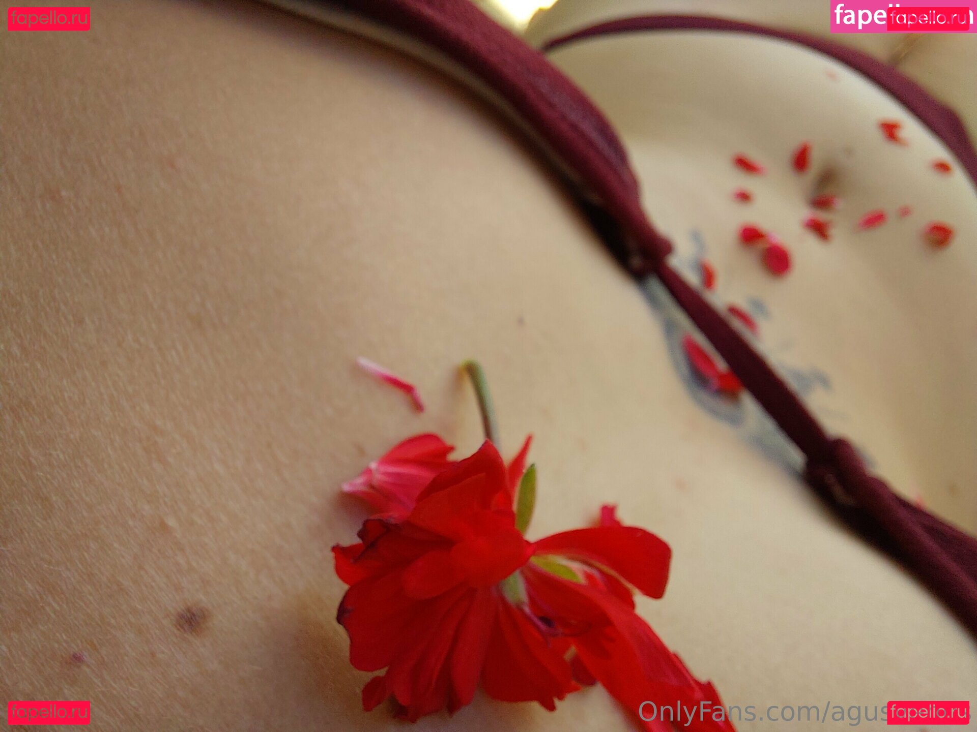 agusvenus Nude Onlyfans Photo 31