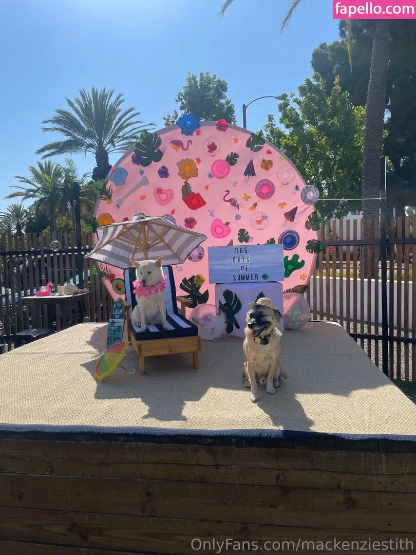 mackenziestith Onlyfans Photo Gallery 