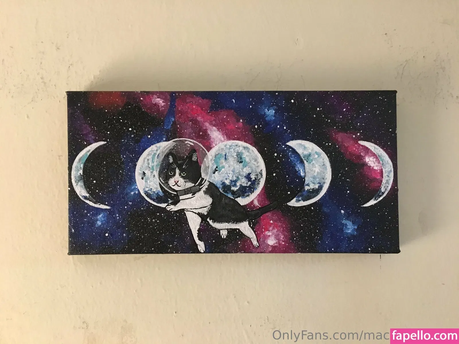 mackenziestith Onlyfans Photo Gallery 