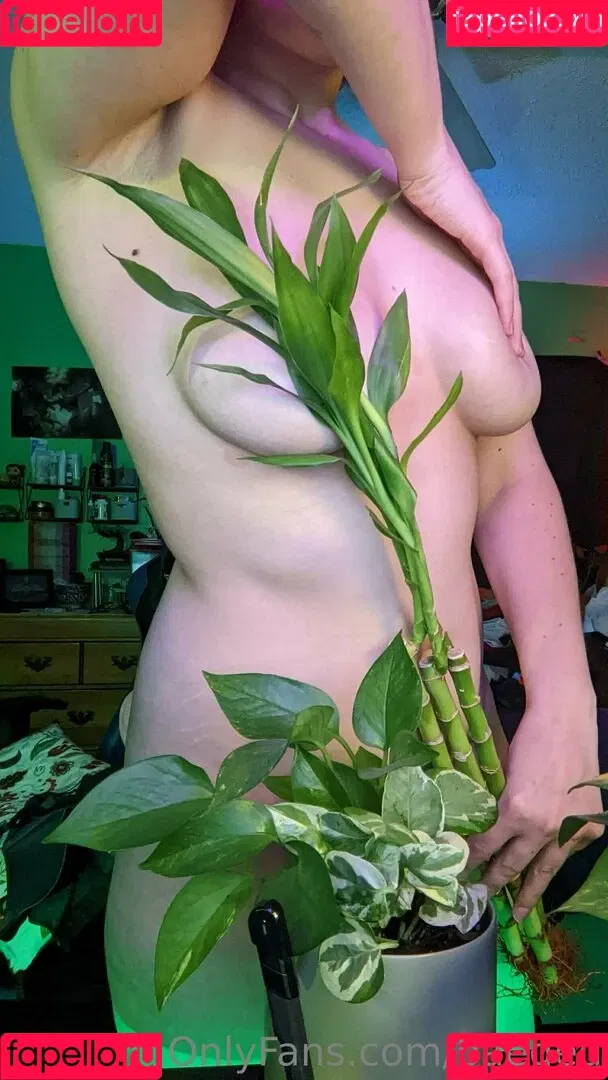 baeged Onlyfans Photo Gallery 