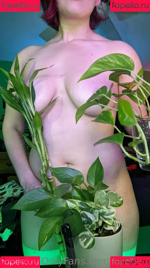 baeged Onlyfans Photo Gallery 