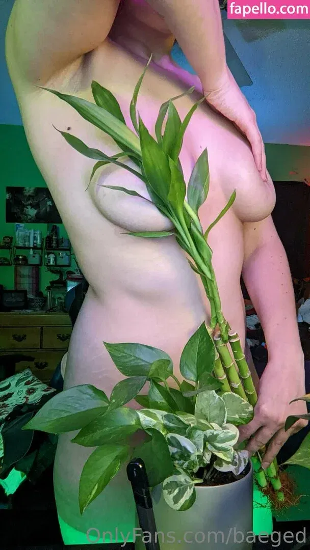 baeged Onlyfans Photo Gallery 