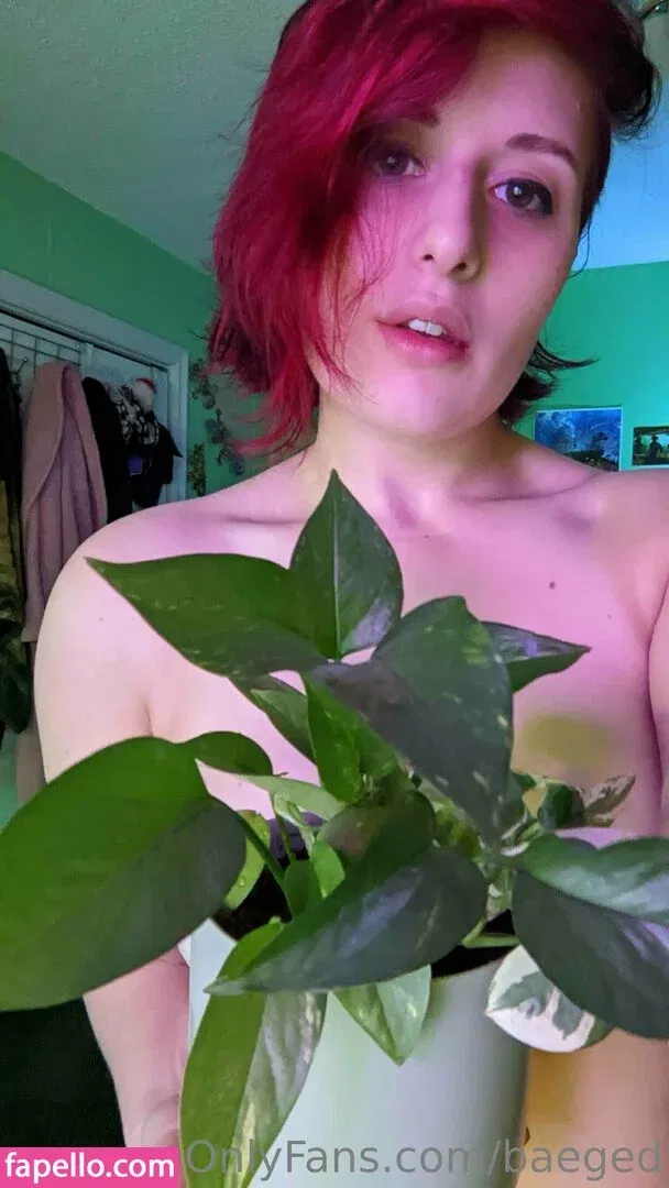 baeged Onlyfans Photo Gallery 