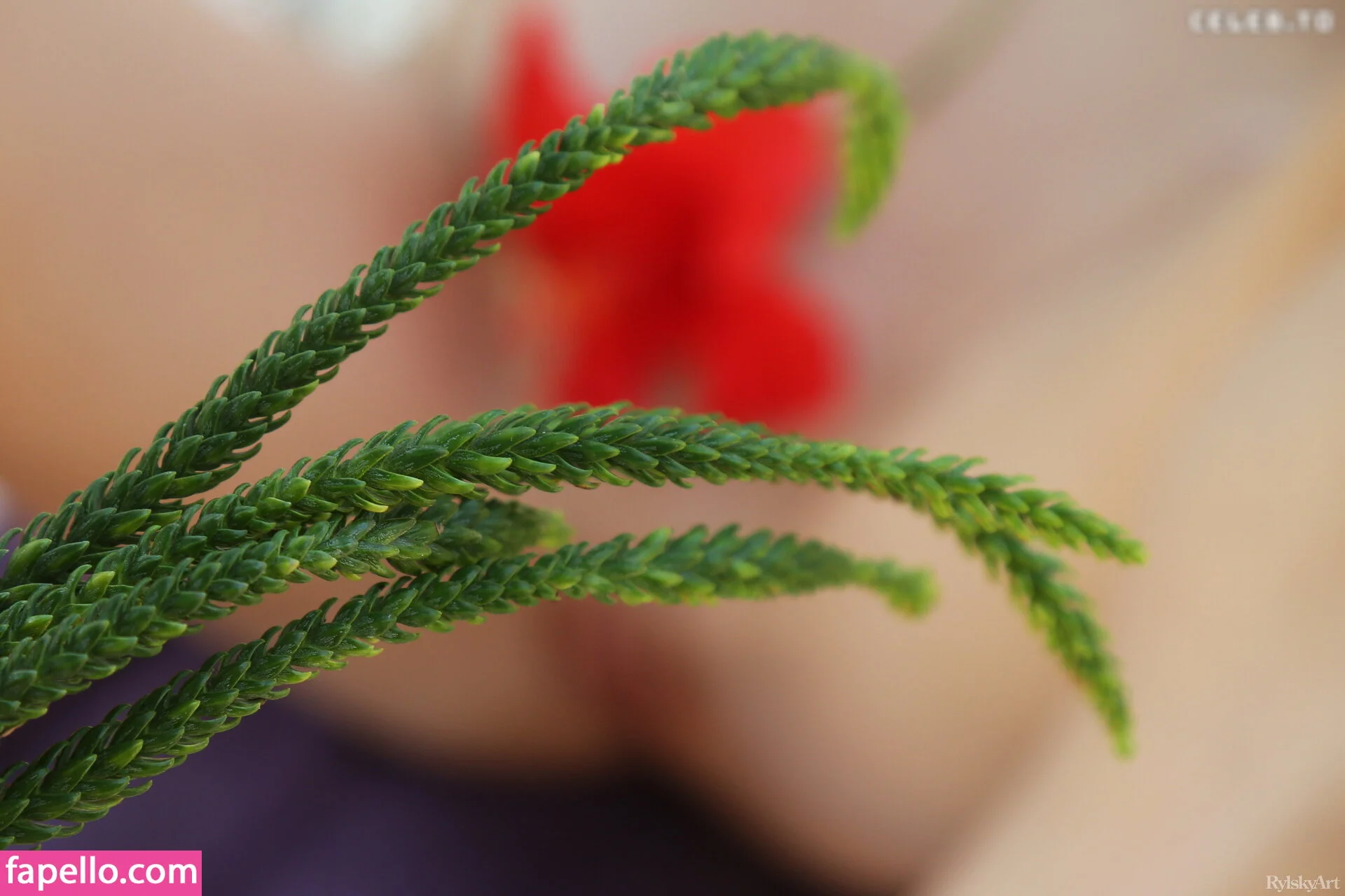 Marta Gromova Onlyfans Photo Gallery 