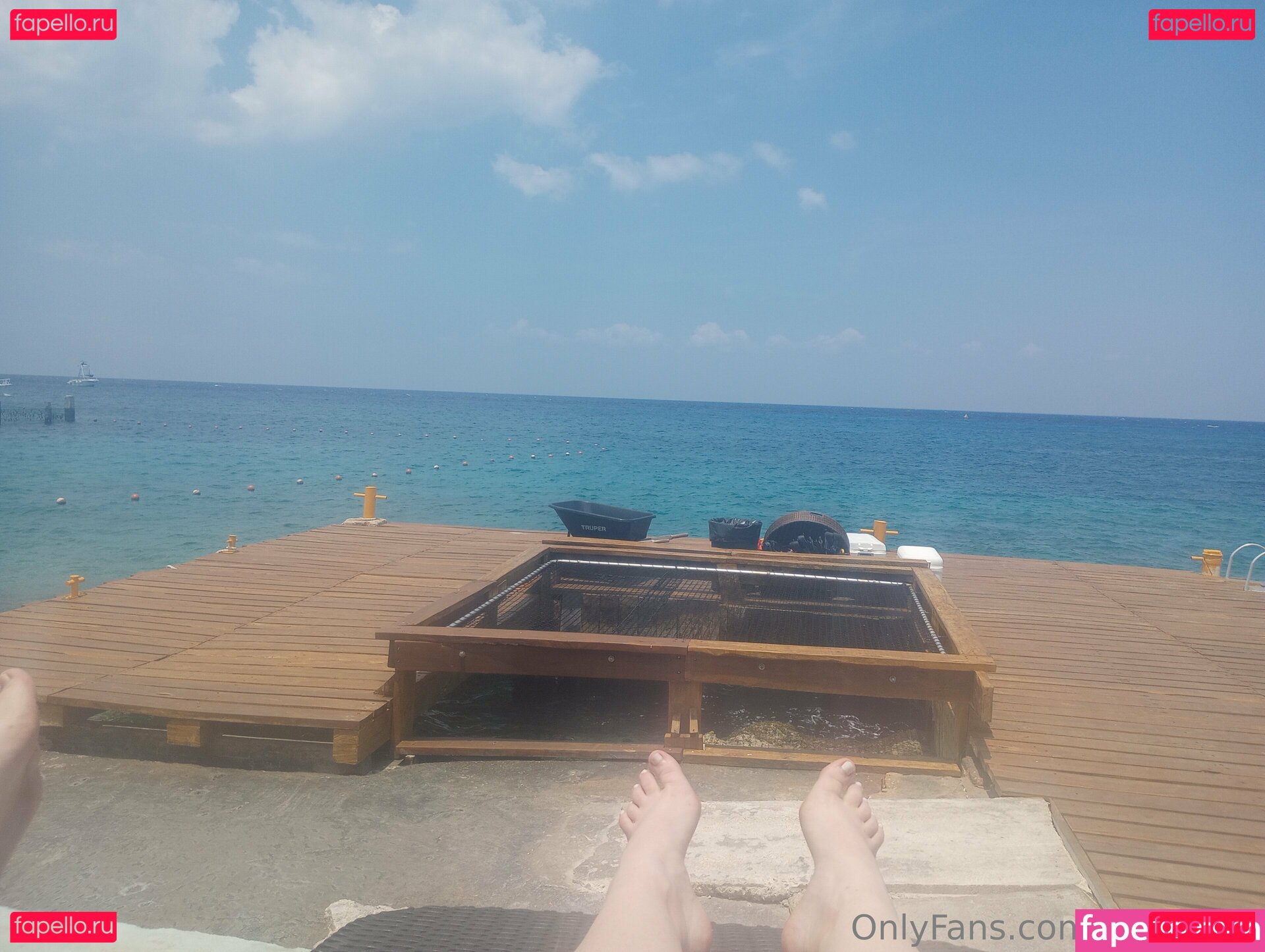 reds_feet Nude Onlyfans Photo 26