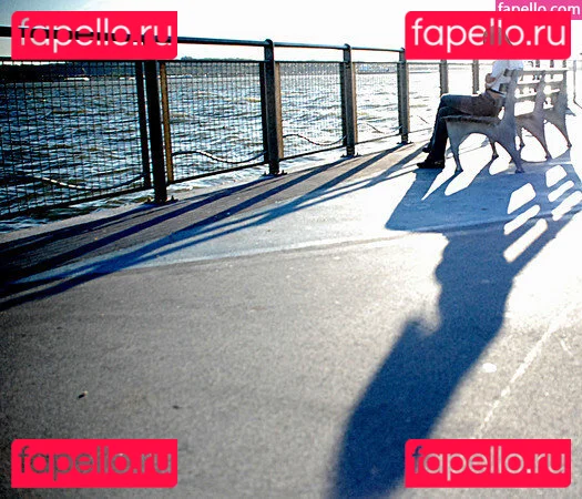 Joeykim Onlyfans Photo Gallery 