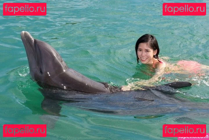 Joeykim Onlyfans Photo Gallery 