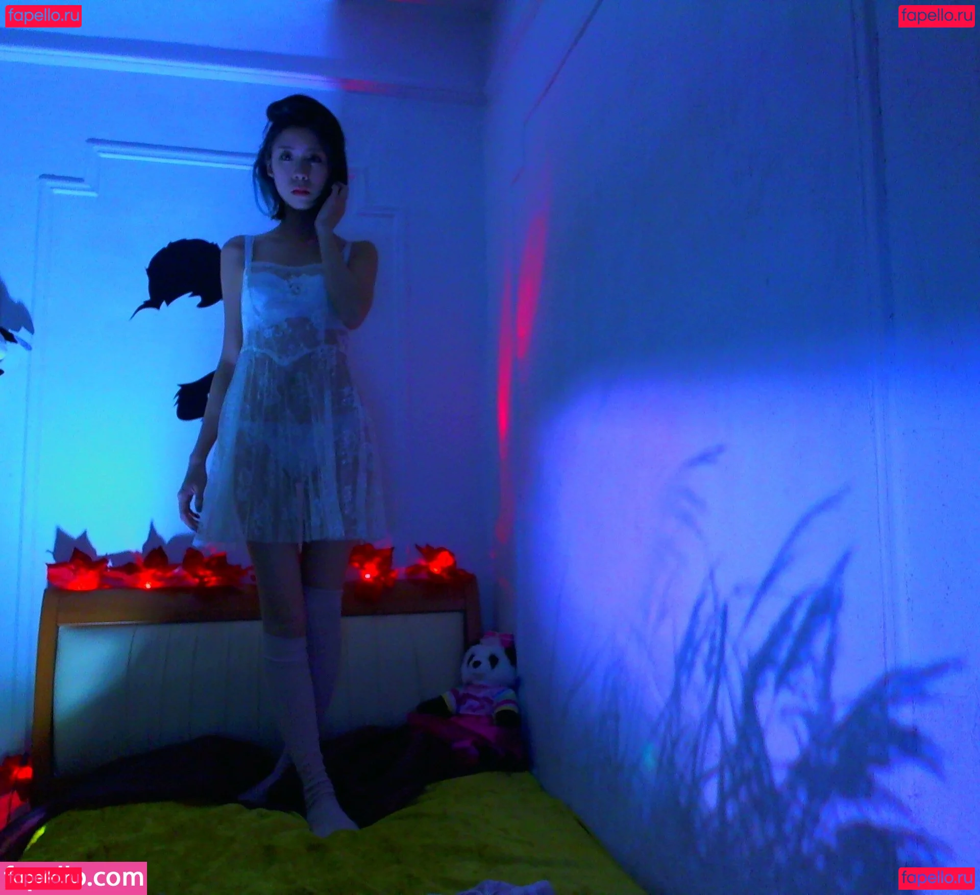 Joeykim Onlyfans Photo Gallery 