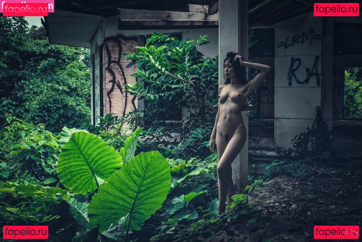 Joeykim Onlyfans Photo Gallery 