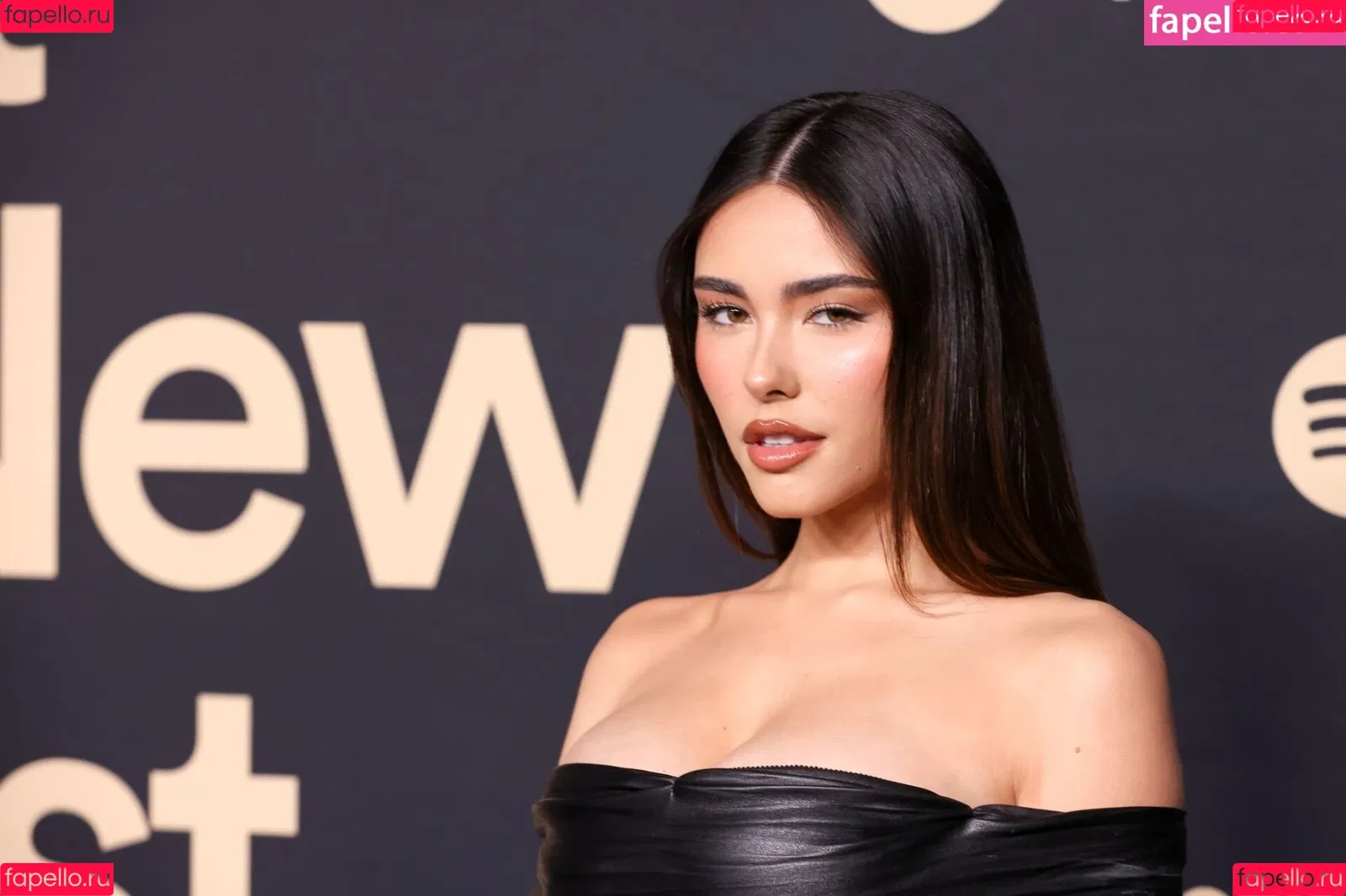 Madison Beer Onlyfans Photo Gallery 