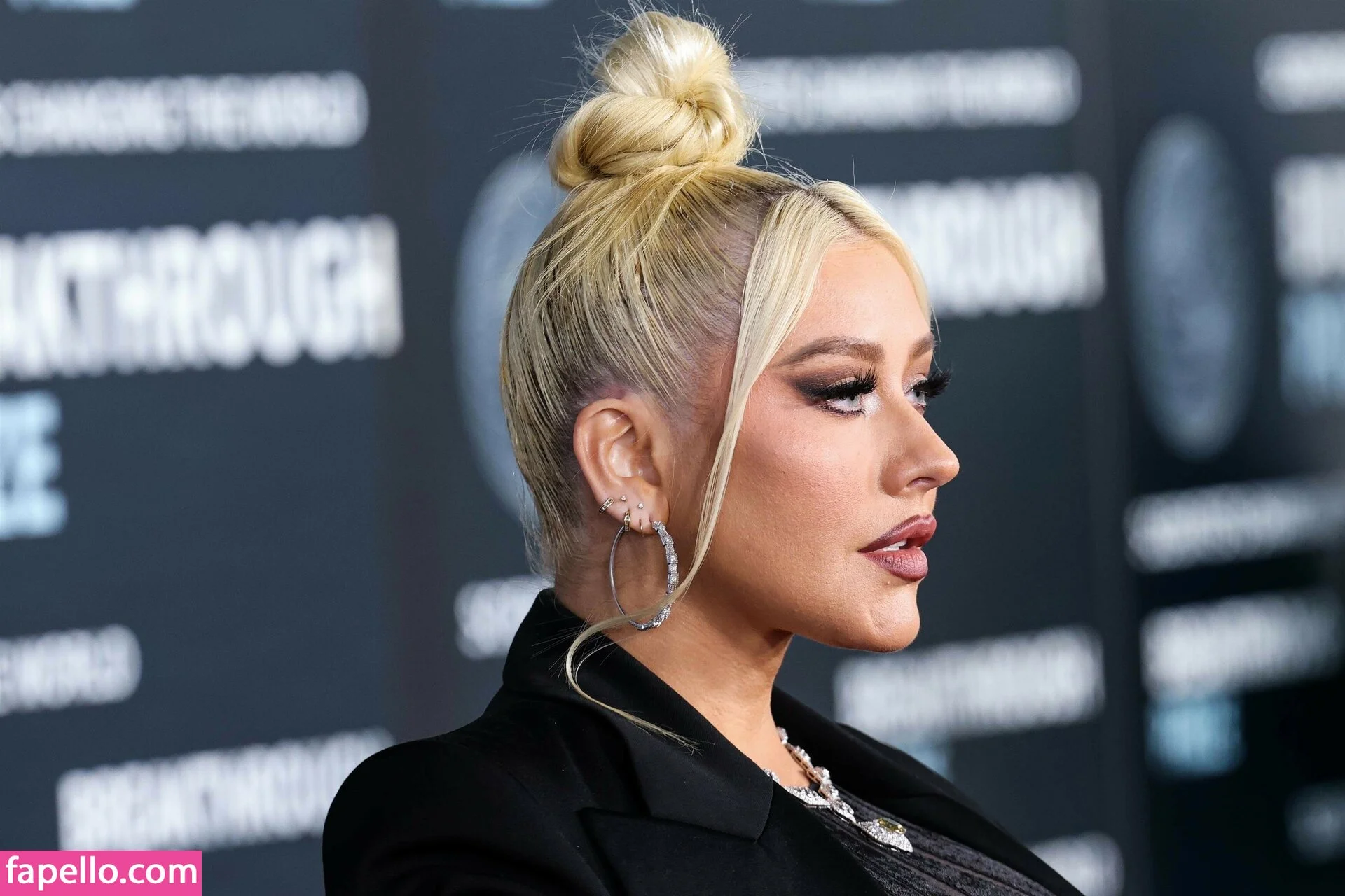 Christina Aguilera Onlyfans Photo Gallery 