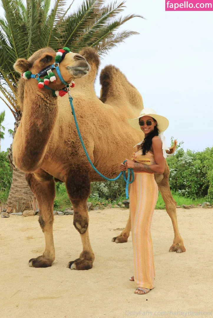 Harley Dean Onlyfans Photo Gallery 