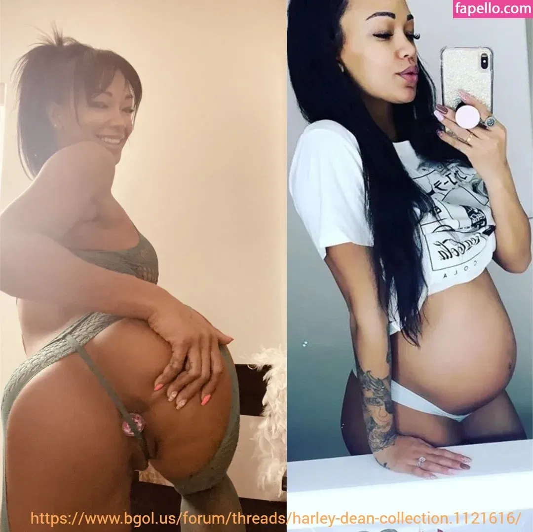 Harley Dean Onlyfans Photo Gallery 