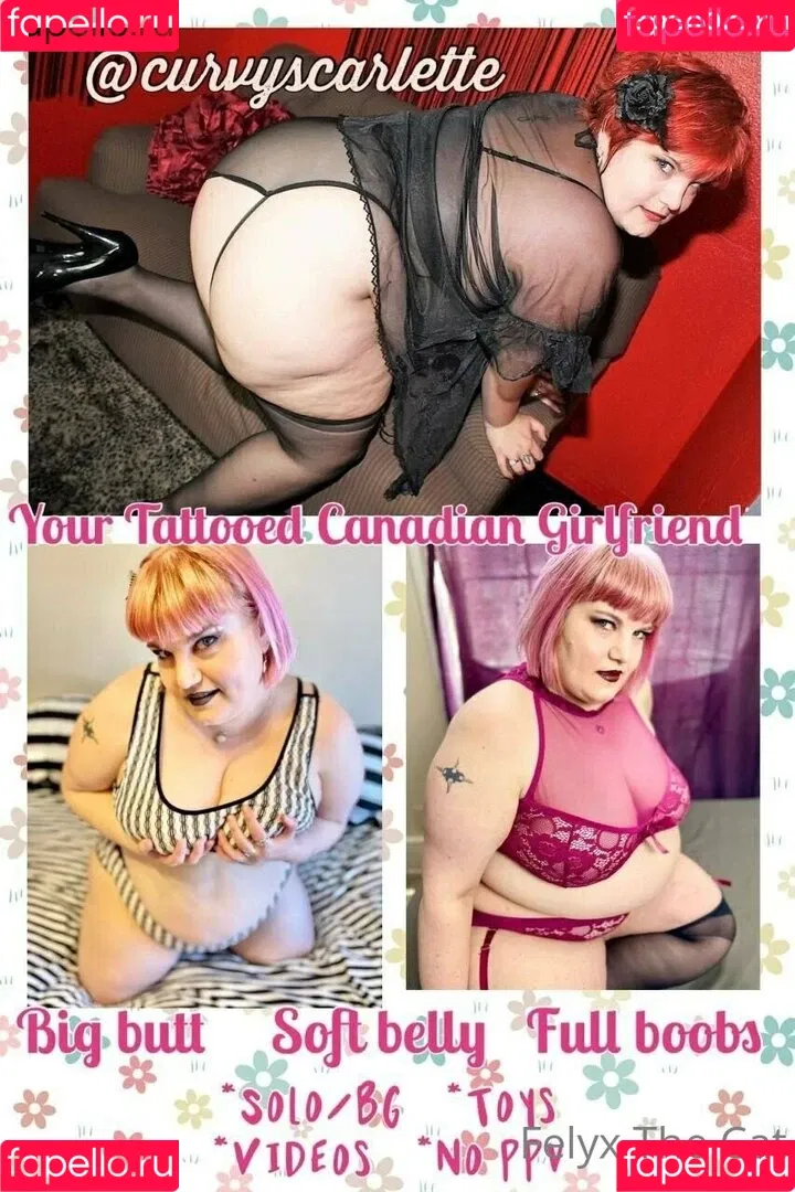 felyxfree Onlyfans Photo Gallery 
