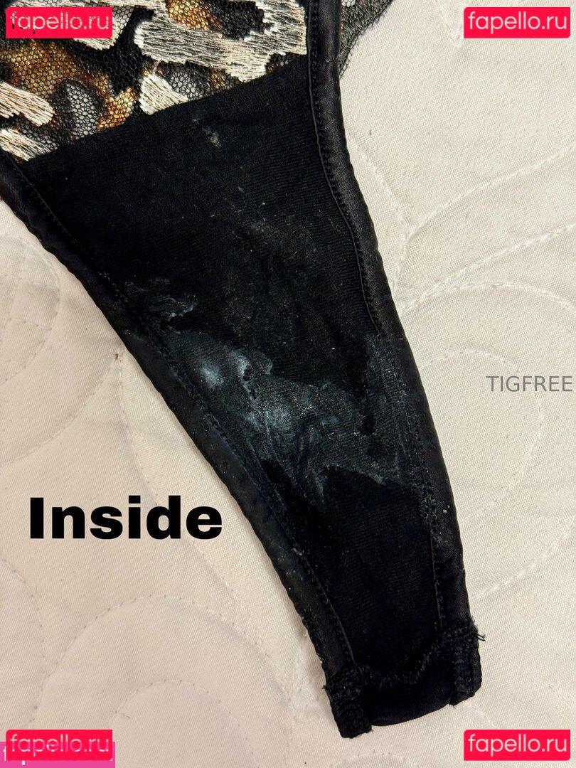 tigfree Nude Onlyfans Photo 15