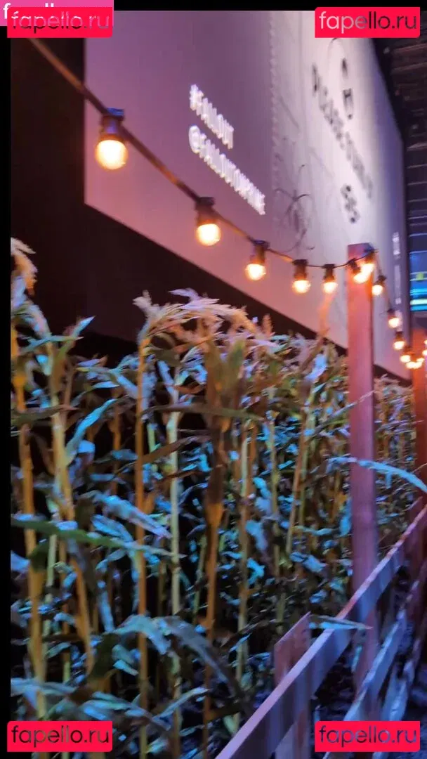 Jane Douglas Onlyfans Photo Gallery 