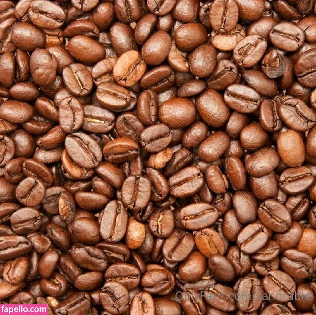 sandrable Onlyfans Photo Gallery 