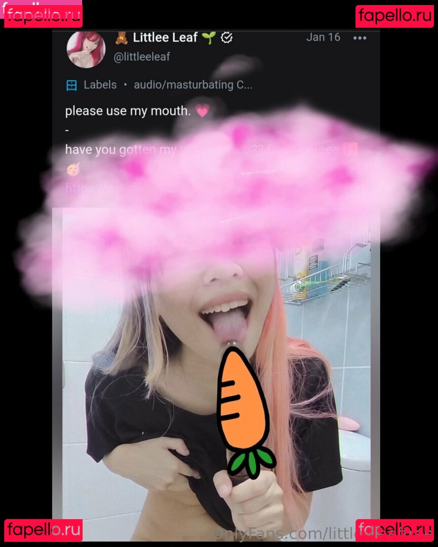 littleeleaffree Nude Onlyfans Photo 33