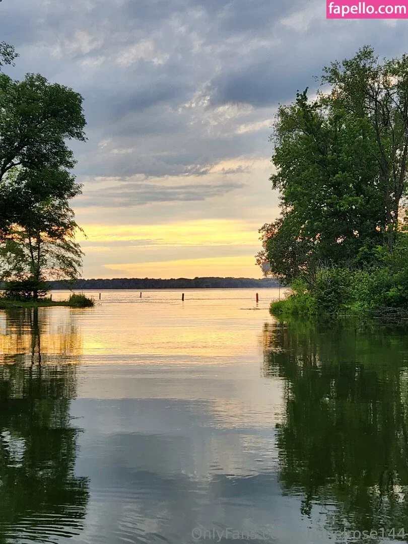 chanelrose144 Onlyfans Photo Gallery 