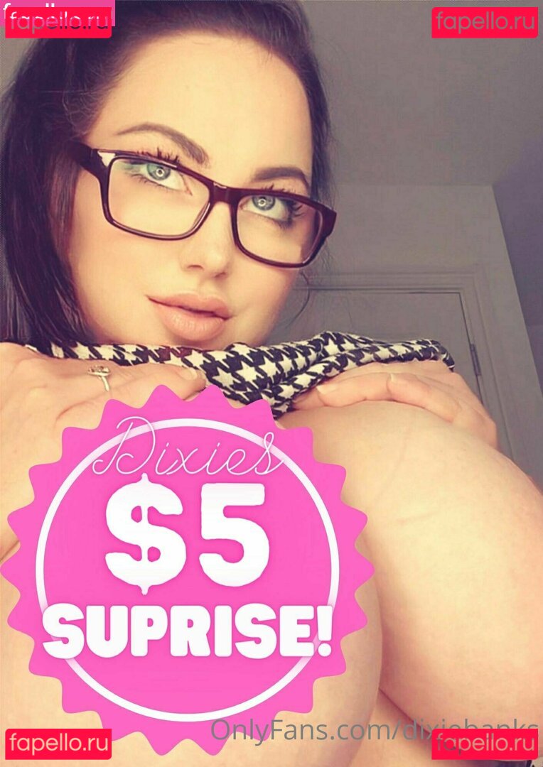 dixiebanks Nude Onlyfans Photo 5