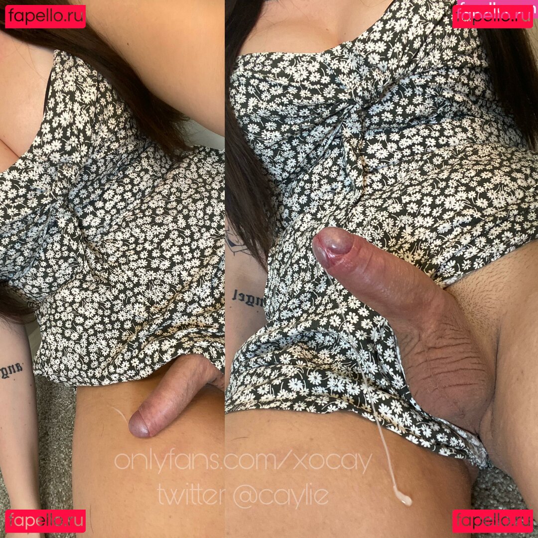 caylie Nude Onlyfans Photo 31