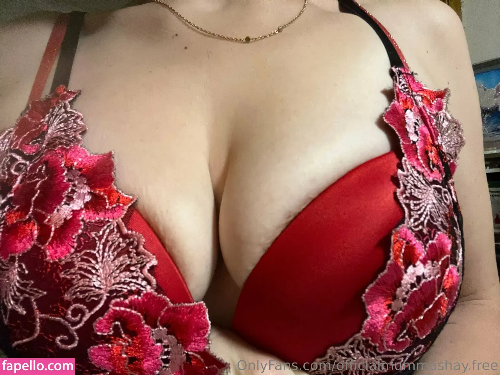 officialmummashayfree Onlyfans Photo Gallery 