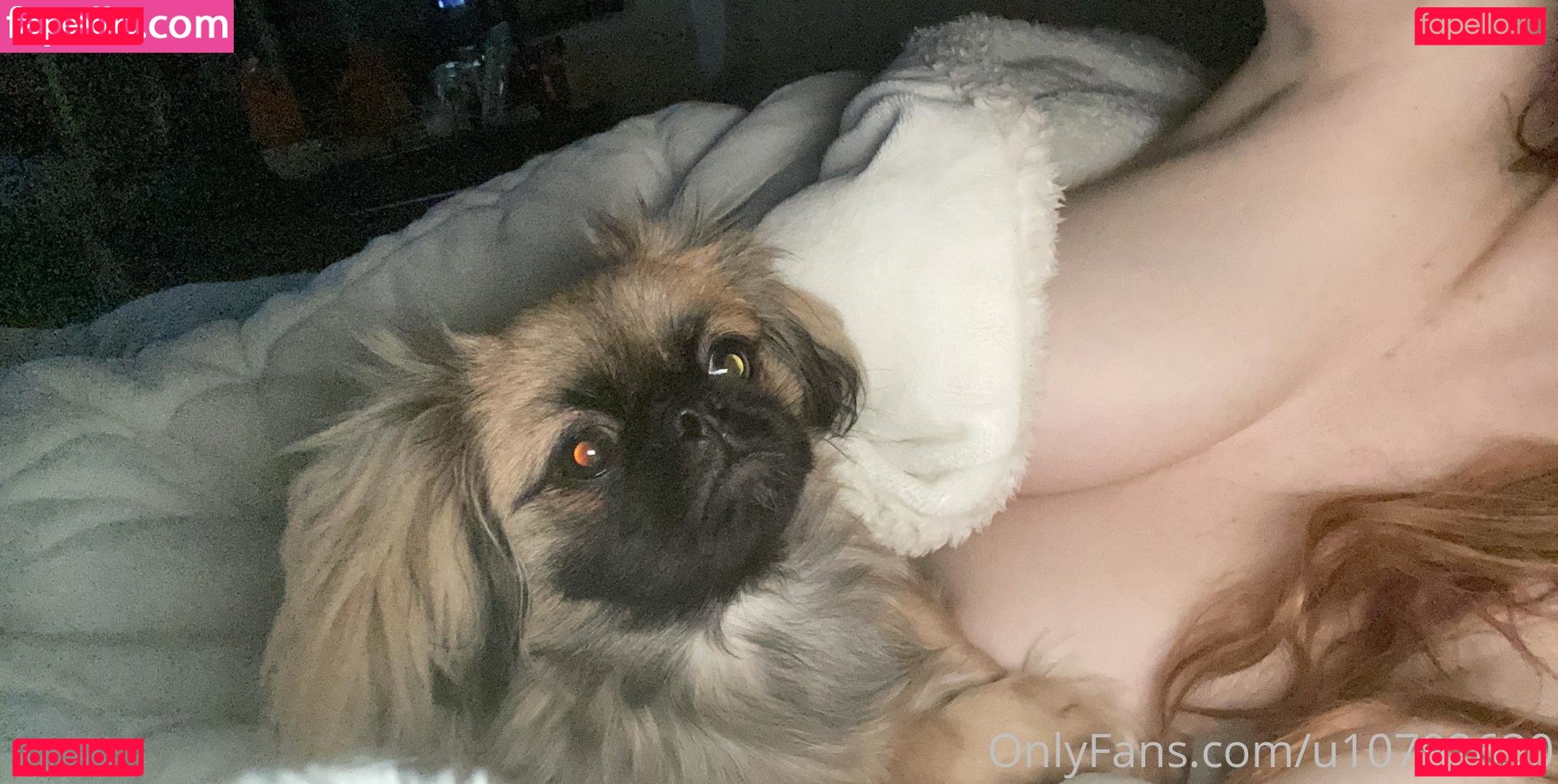 nalabrooks Nude Onlyfans Photo 16