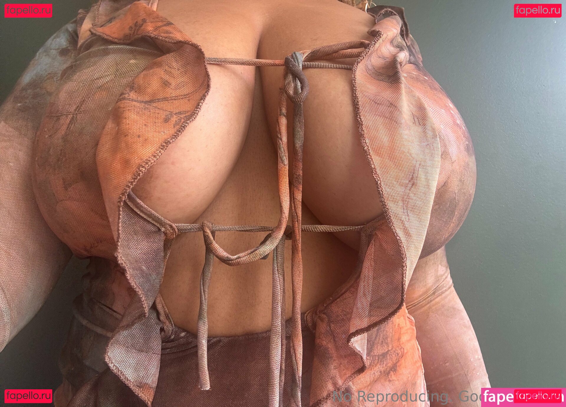 thegoddessnova Nude Onlyfans Photo 14