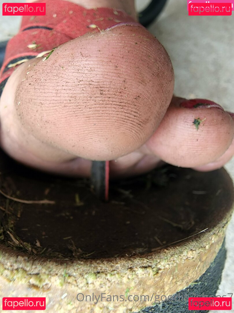 goodie2shoes7 Nude Onlyfans Photo 12