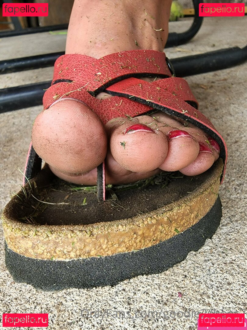 goodie2shoes7 Nude Onlyfans Photo 11