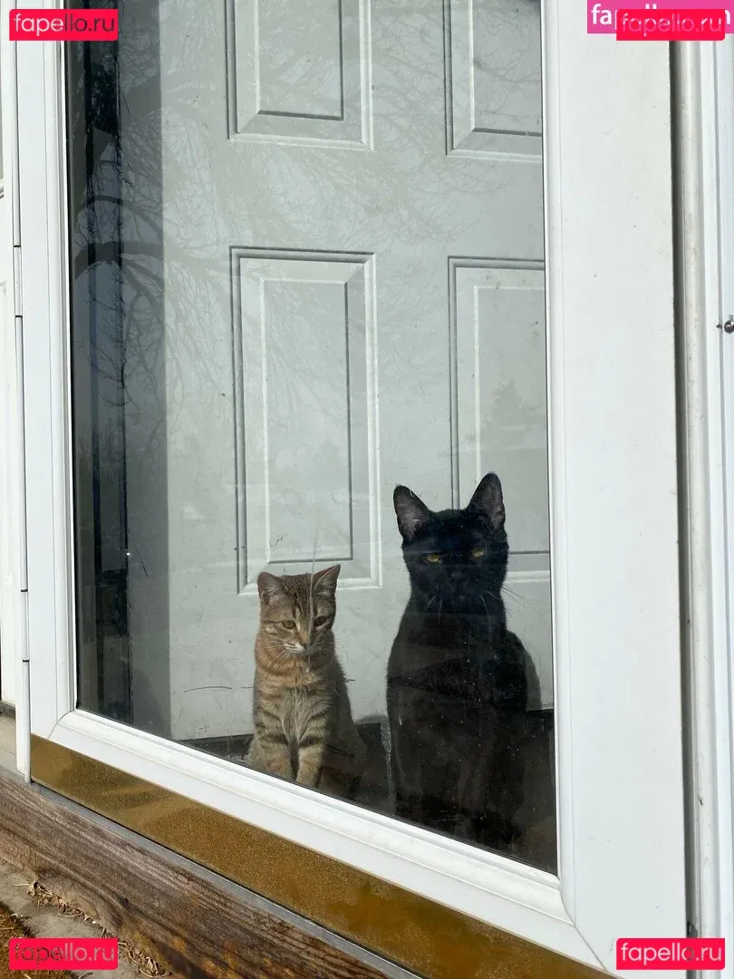 nikkiinatural Onlyfans Photo Gallery 