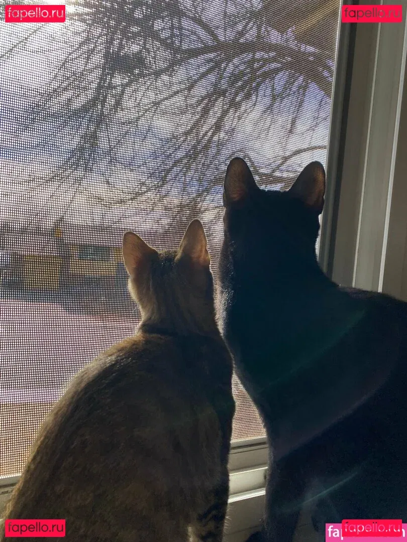 nikkiinatural Onlyfans Photo Gallery 