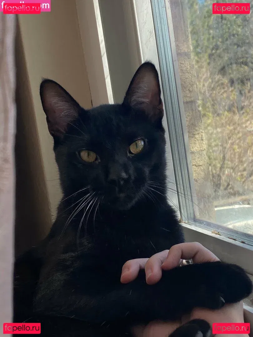 nikkiinatural Onlyfans Photo Gallery 