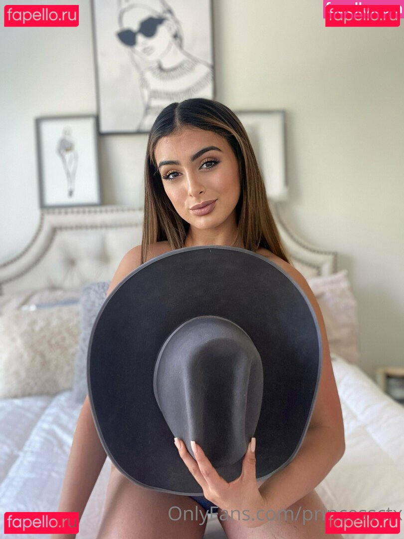 princessctx Nude Onlyfans Photo 47