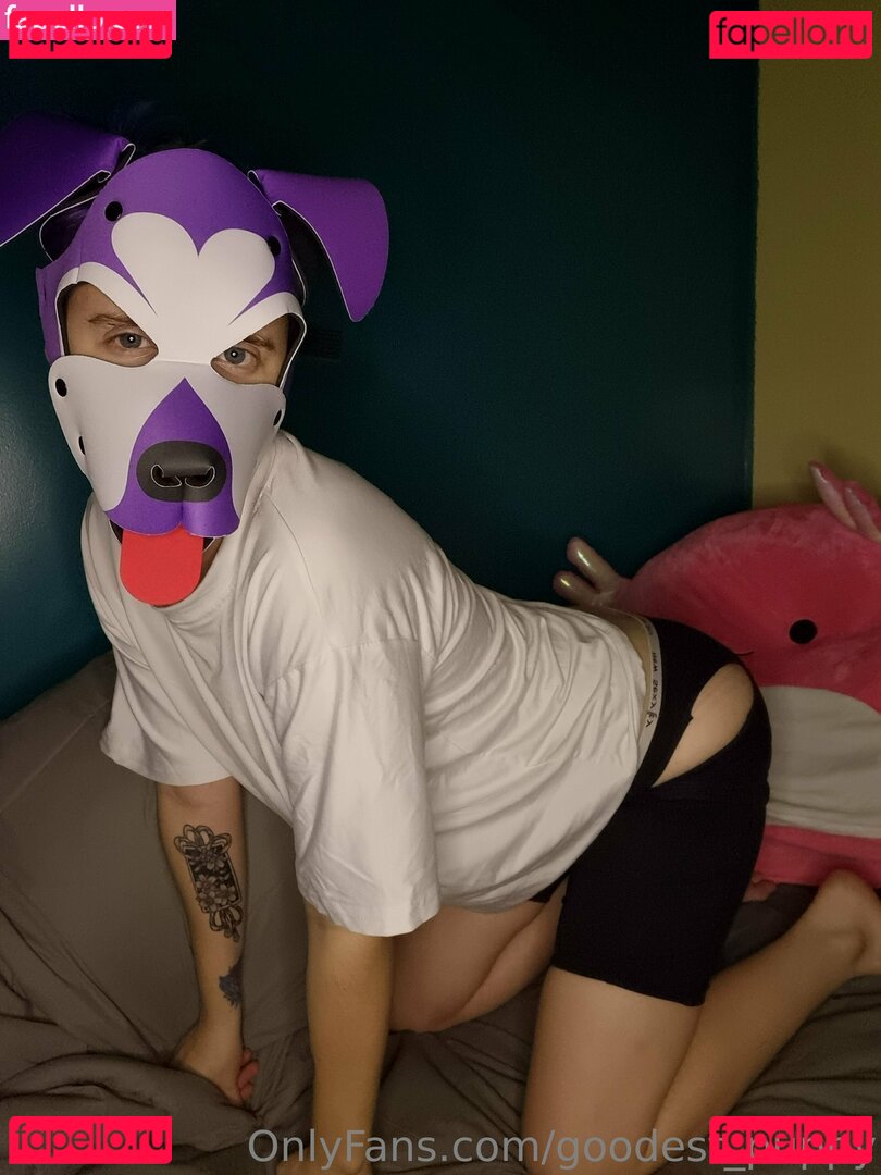 goodest_puppy Nude Onlyfans Photo 7