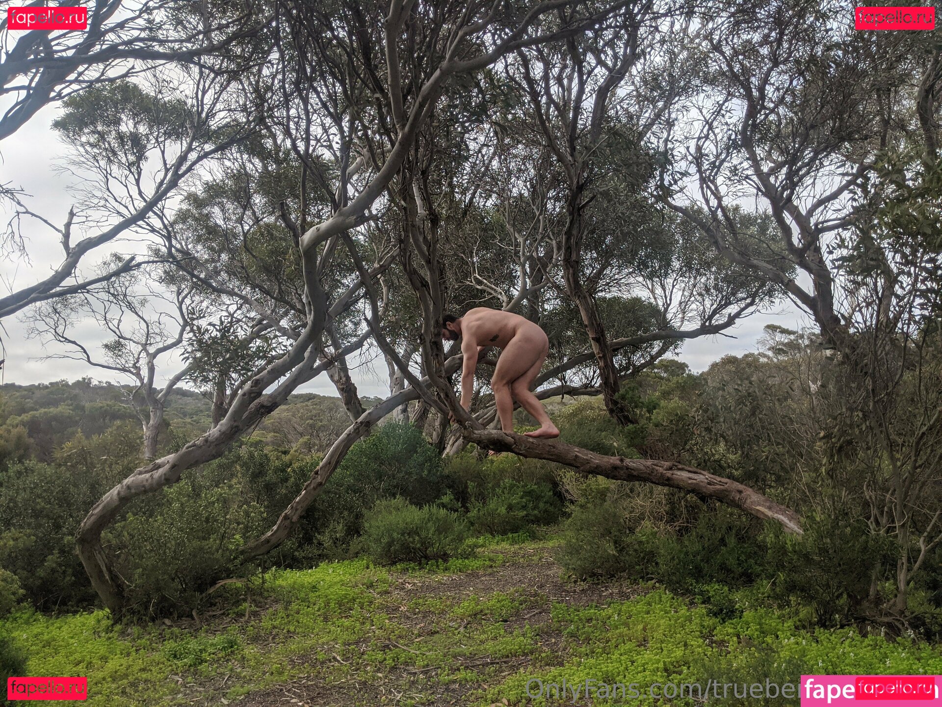truebenmatthews Nude Onlyfans Photo 14