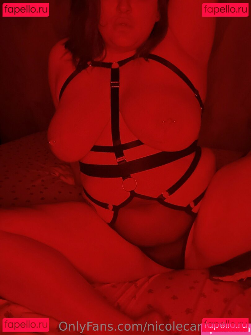 nicolecanterbury Nude Onlyfans Photo 41