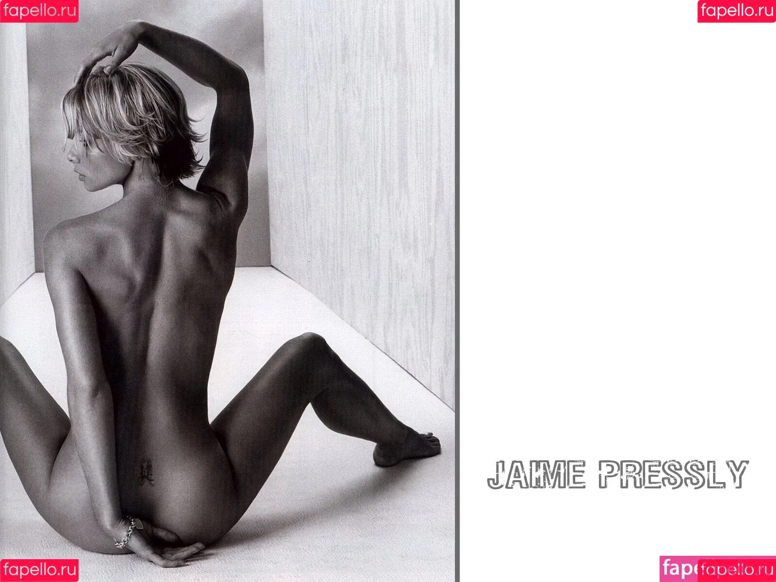 Jaime Pressly Onlyfans Photo Gallery 