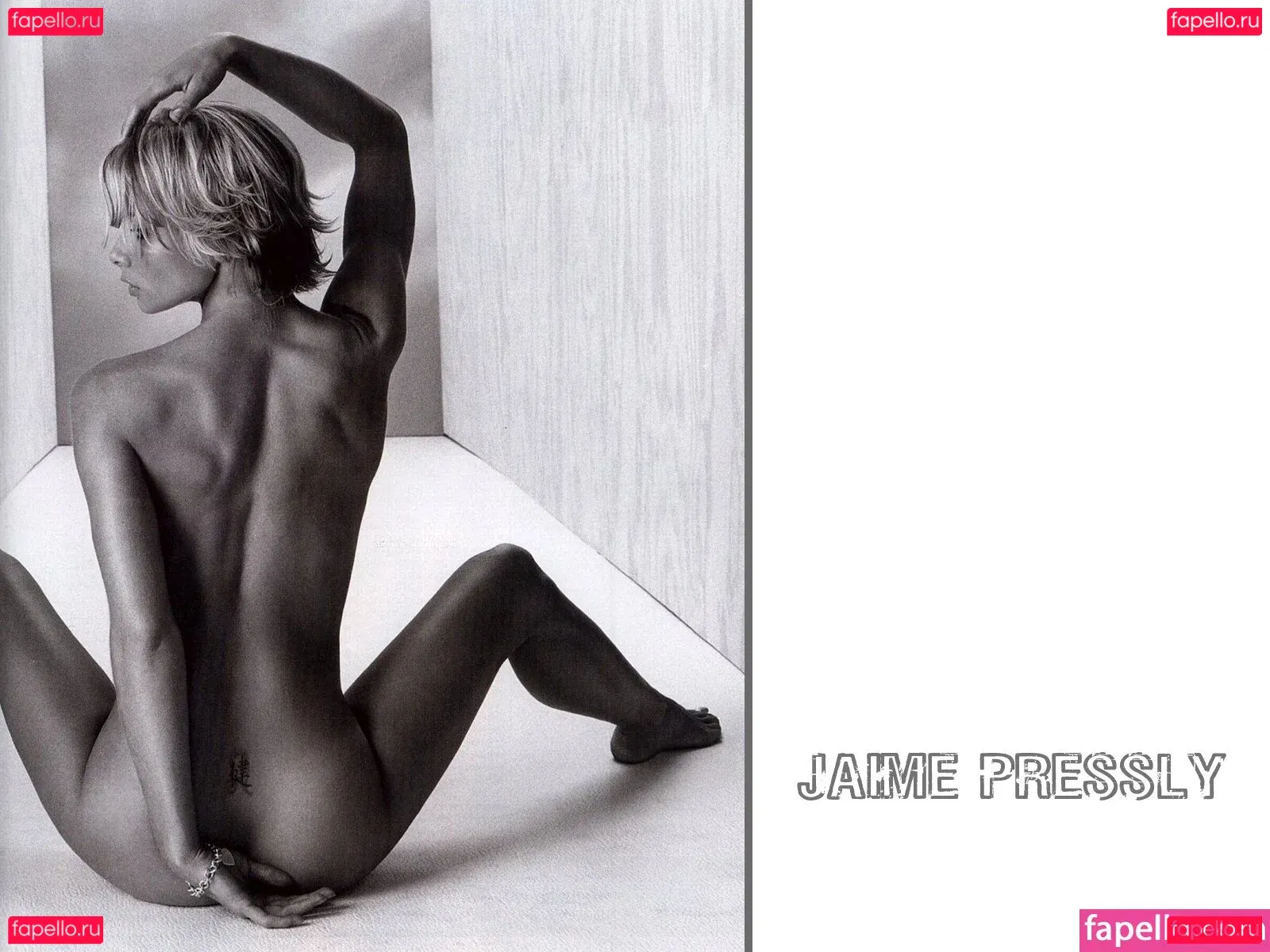 Jaime Pressly Onlyfans Photo Gallery 