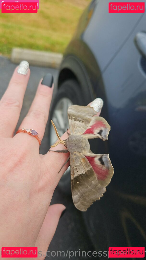 princesspeachrings Nude Onlyfans Photo 36